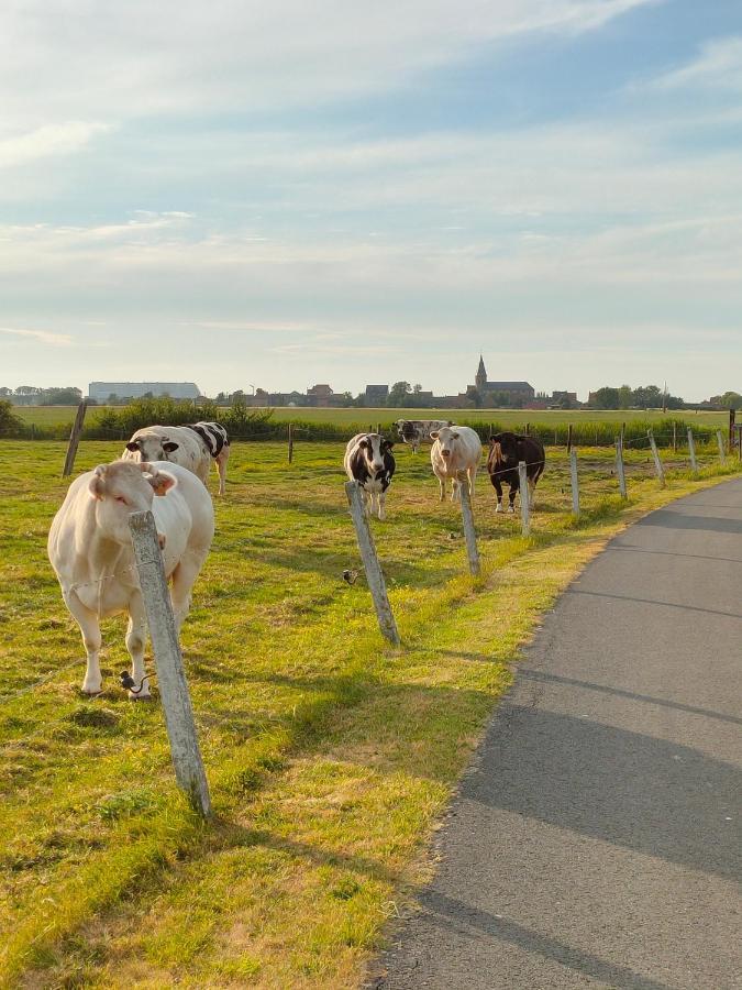 Gastenverblijf Hof Moye Tyt Middelkerke Extérieur photo